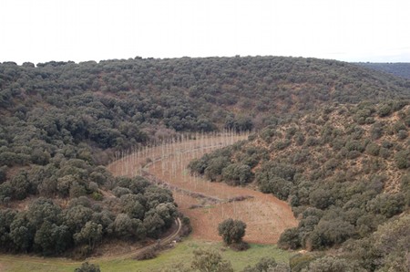 Vistas Barranco del Berral