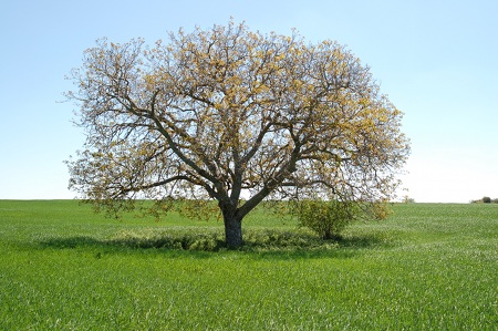 Paraje Fuente del Tesoro