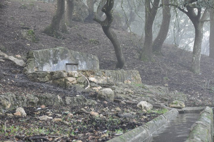 Fuente La Sufre
