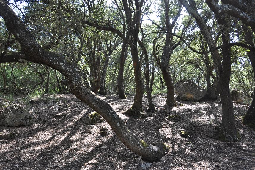 Paraje La Sufre