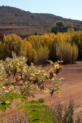 Vista al Tajuña