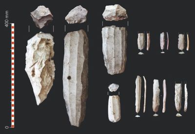 Detalle restos encontrados